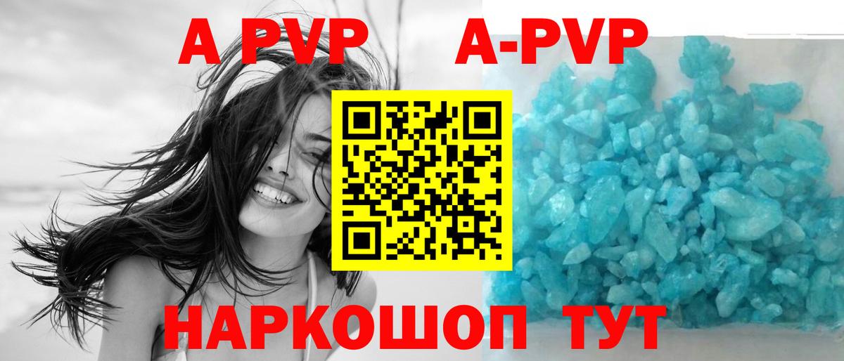 Alfa_PVP СК КРИС Зерноград