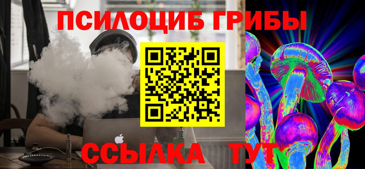Зерноград  Псилоцибиновые грибы Magic Shrooms  купить  сайты  Вход с VPN 